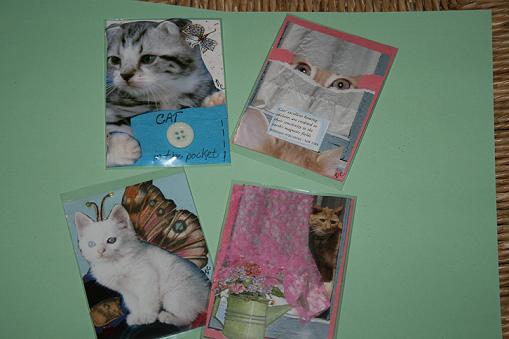 Cat ATC