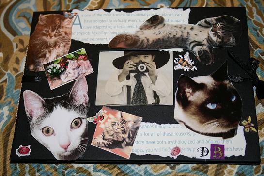 Cat embellished photo album