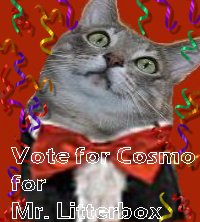 Cos for Mr. Litterbox!