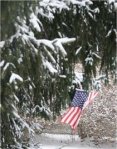 Flag in the&nbsp;snow