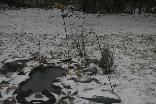 Uncovered the pond for it to get covered again.