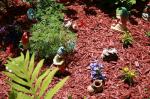 Gnome garden