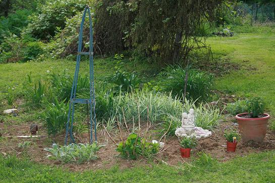 Lily and grasses garden