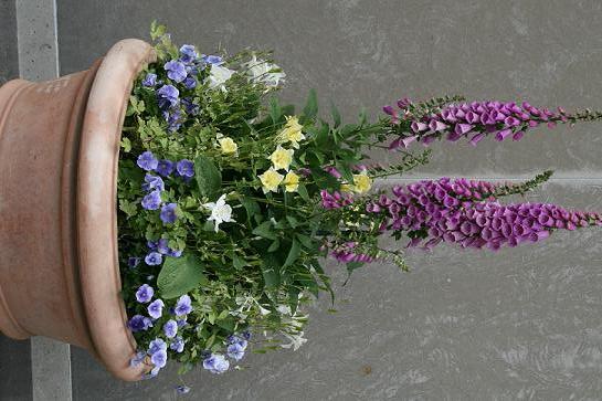 Out front at Longwood Gardens