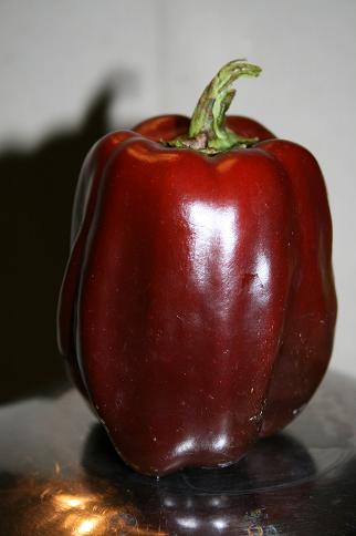 Chocolate pepper?