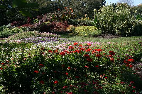 Full bloom flowerbeds