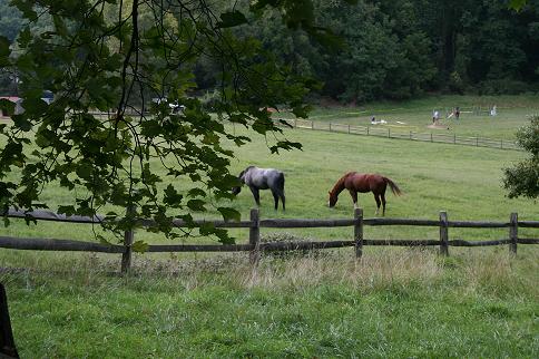 Up a bit on our road