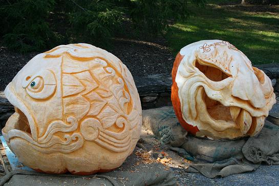 Some carved pumpkins