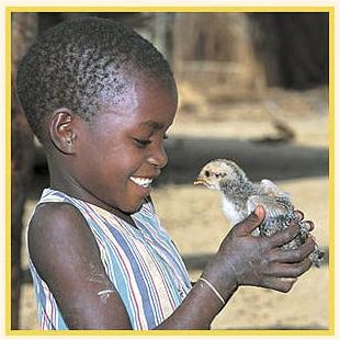 Child with chick