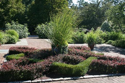 Knot Garden