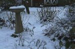 Snowy fairy garden