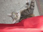 A narrow escape