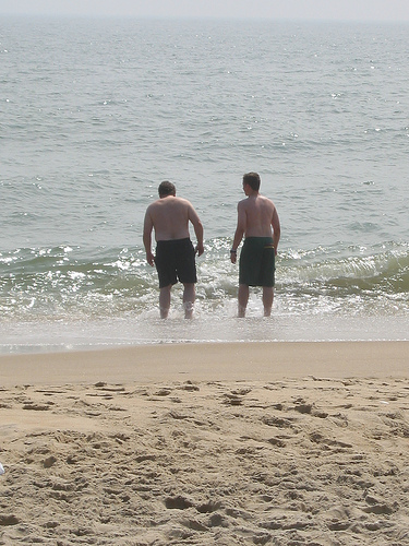 The freedom of vacation