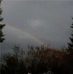 Rainbow!