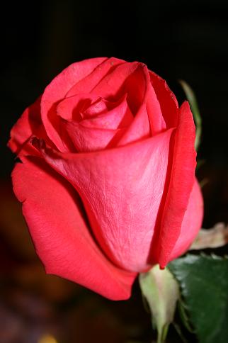 In rememberance of B