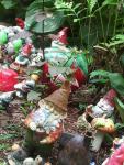 gnomes