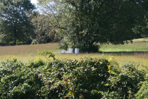 Brandywine_hills 023