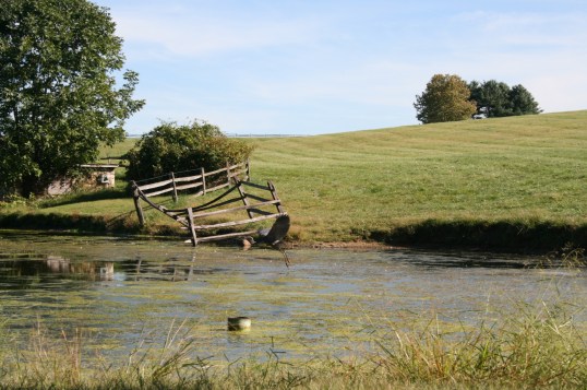 Brandywine_hills 025