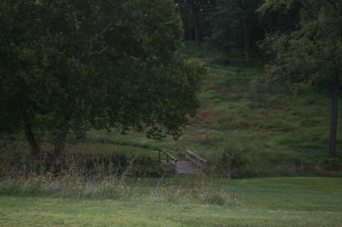 Brandywine_hills 063