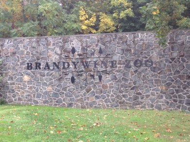 BrandywineZ