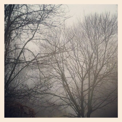 foggy