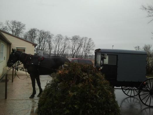 horsebuggy