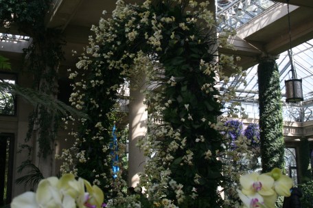 LongwoodOrchids13 058