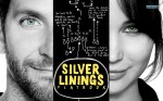 silver-linings-playbook