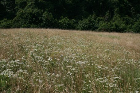 Marylanddaytrip13 019