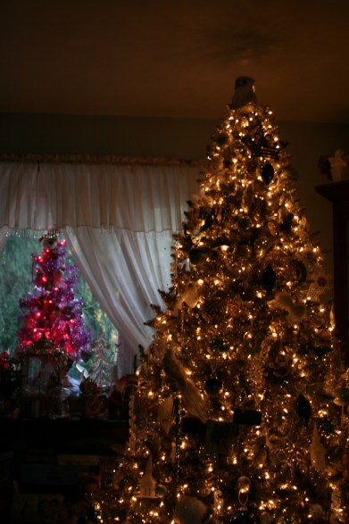 Christmas_Philly13 013