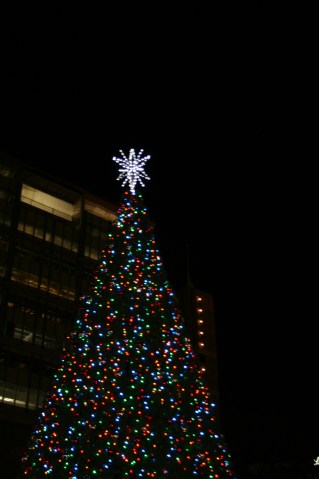 Christmas_Philly13 093