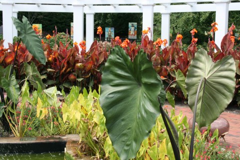 HersheyGardens14 058