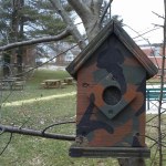 16236731327_b9e54accaf_z