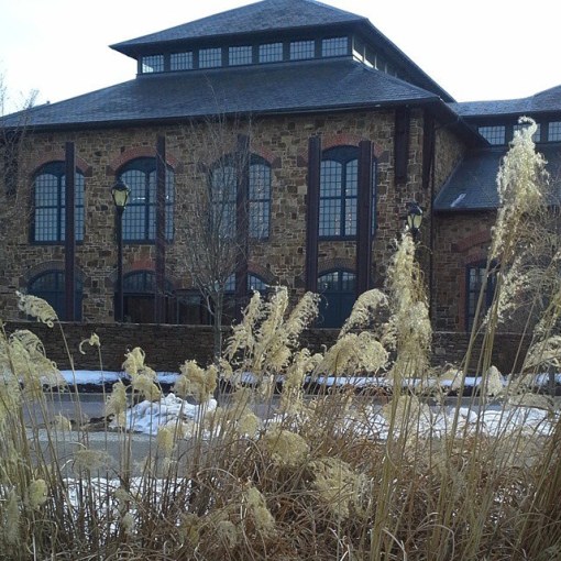 16493486325_66b8d354a5_z