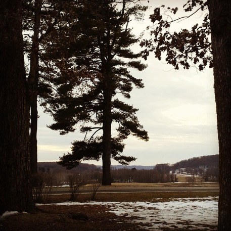 16500784355_e8f8b8759e_z